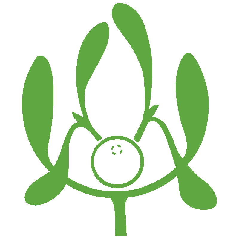 Logo of the Iscador AG